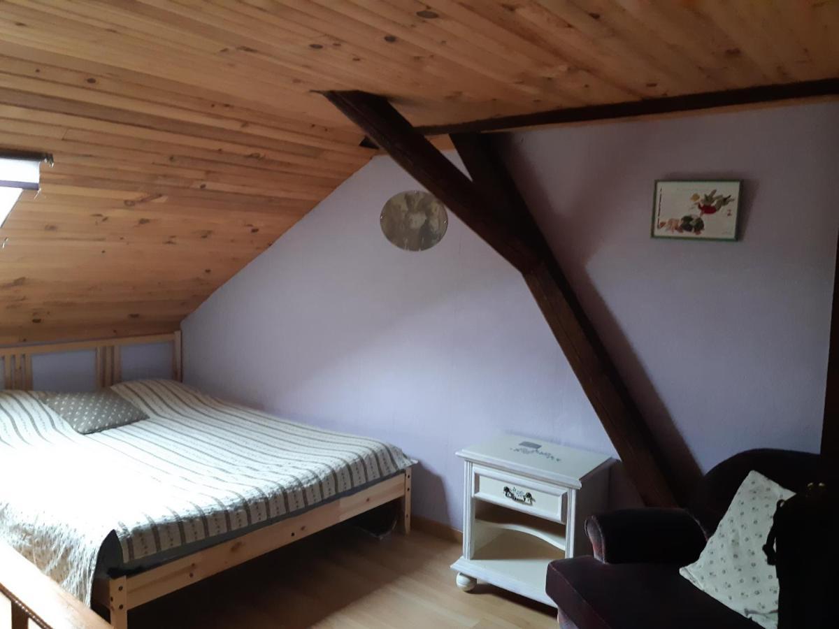 Gite Convivial Et Familial Au Coeur Du Val D'Argent Sainte-Croix-aux-Mines 외부 사진